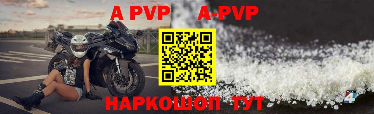 Alfa_PVP СК КРИС Печора