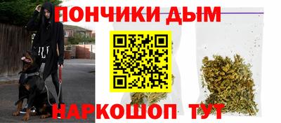 сатива Славгород