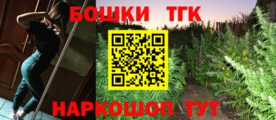 сатива Славгород
