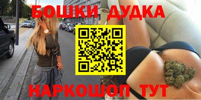 сатива Славгород