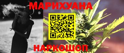 сатива Славгород