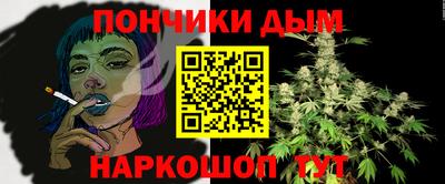 сатива Славгород