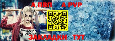 сатива Славгород