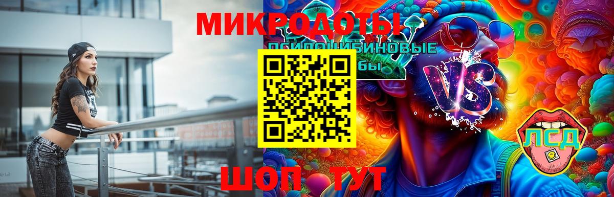 Псилоцибиновые грибы прущие грибы Печора