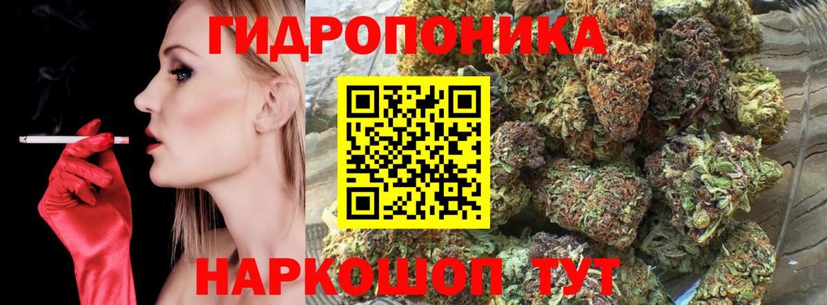 Бошки Шишки Amnesia Печора